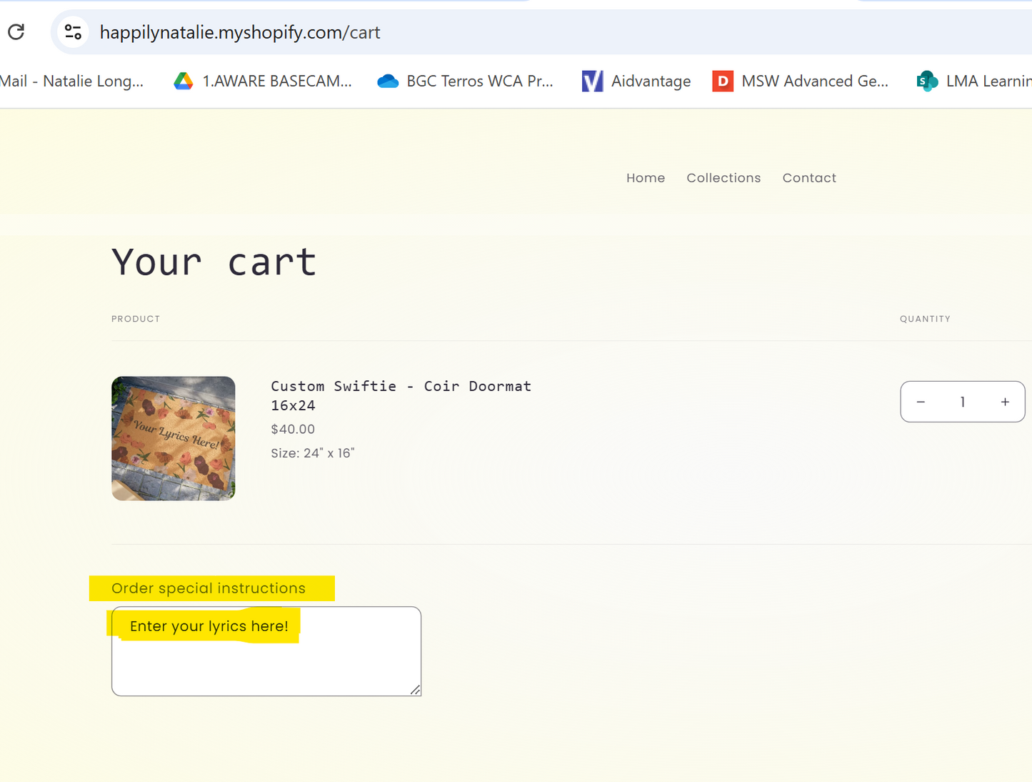 Custom Swiftie - Coir Doormat 16x24