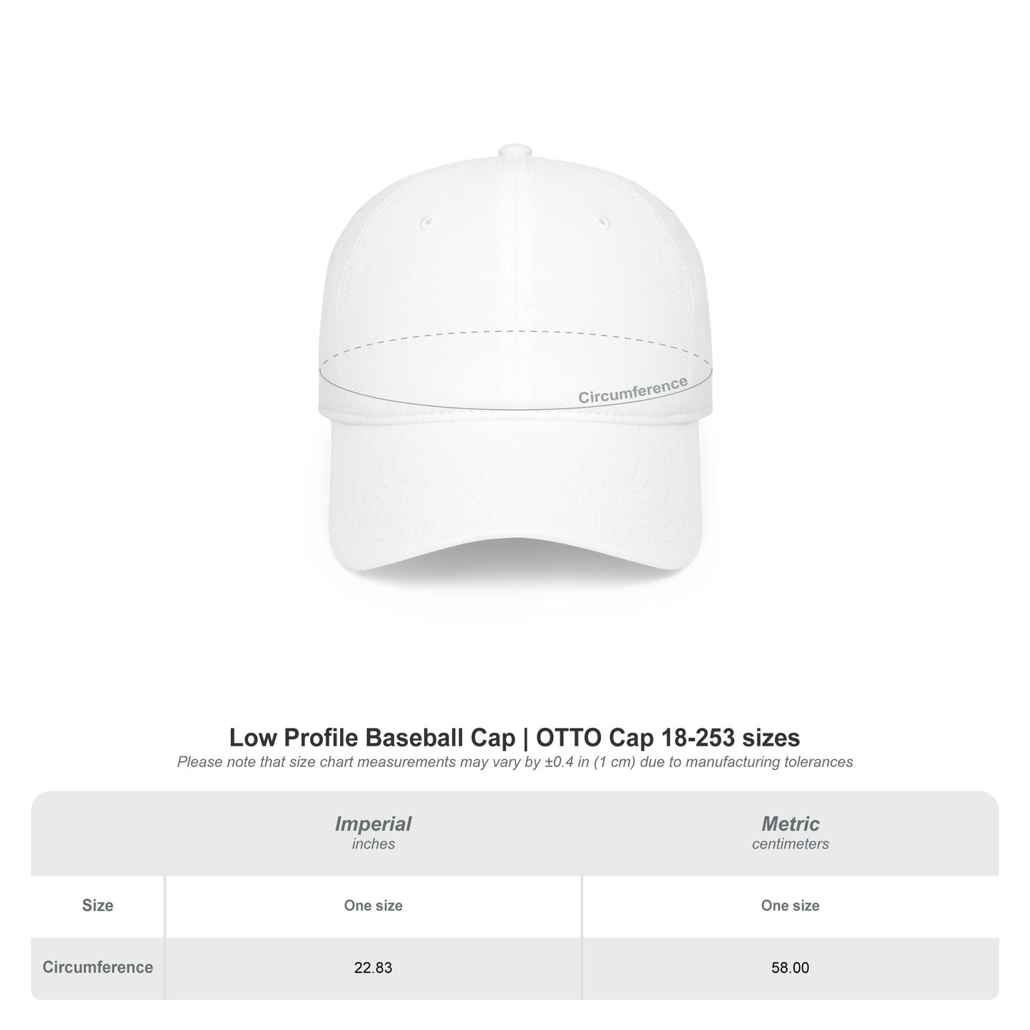Baseball Cap — "I Protect The Family" Embroidered Dad Hat