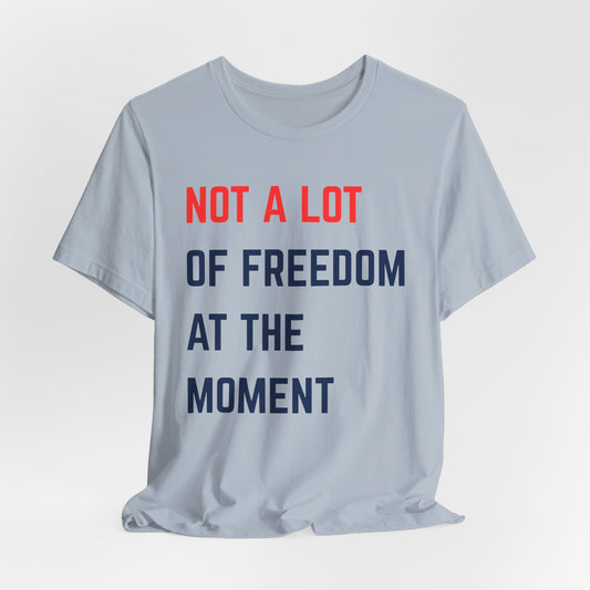Not A Lot of Freedom Swiftie Unisex Tee, Casual Shirt, Gift for Activist, Social Statement Tee, Everyday Wear, Humor Fashion