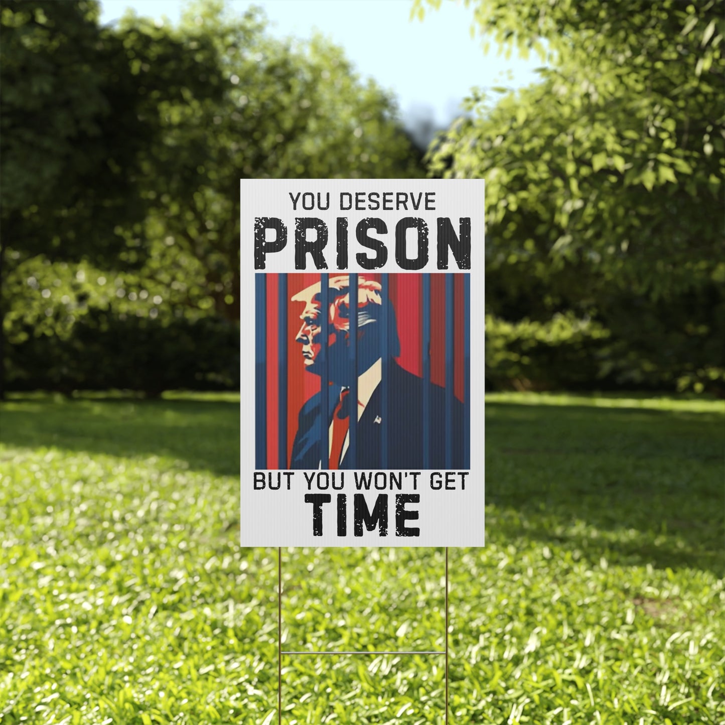 Political Yard Sign - "You Deserve Prison But You Won't Get Time", Home Decor, Garden Decor, Protest Sign, Election Campaign