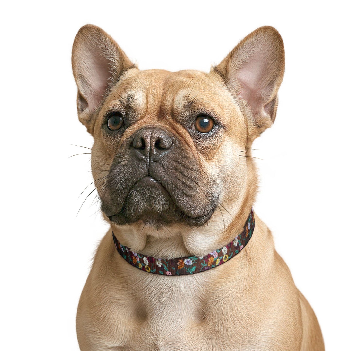 Acoustic Piano Floral Clip-on Pet Collar