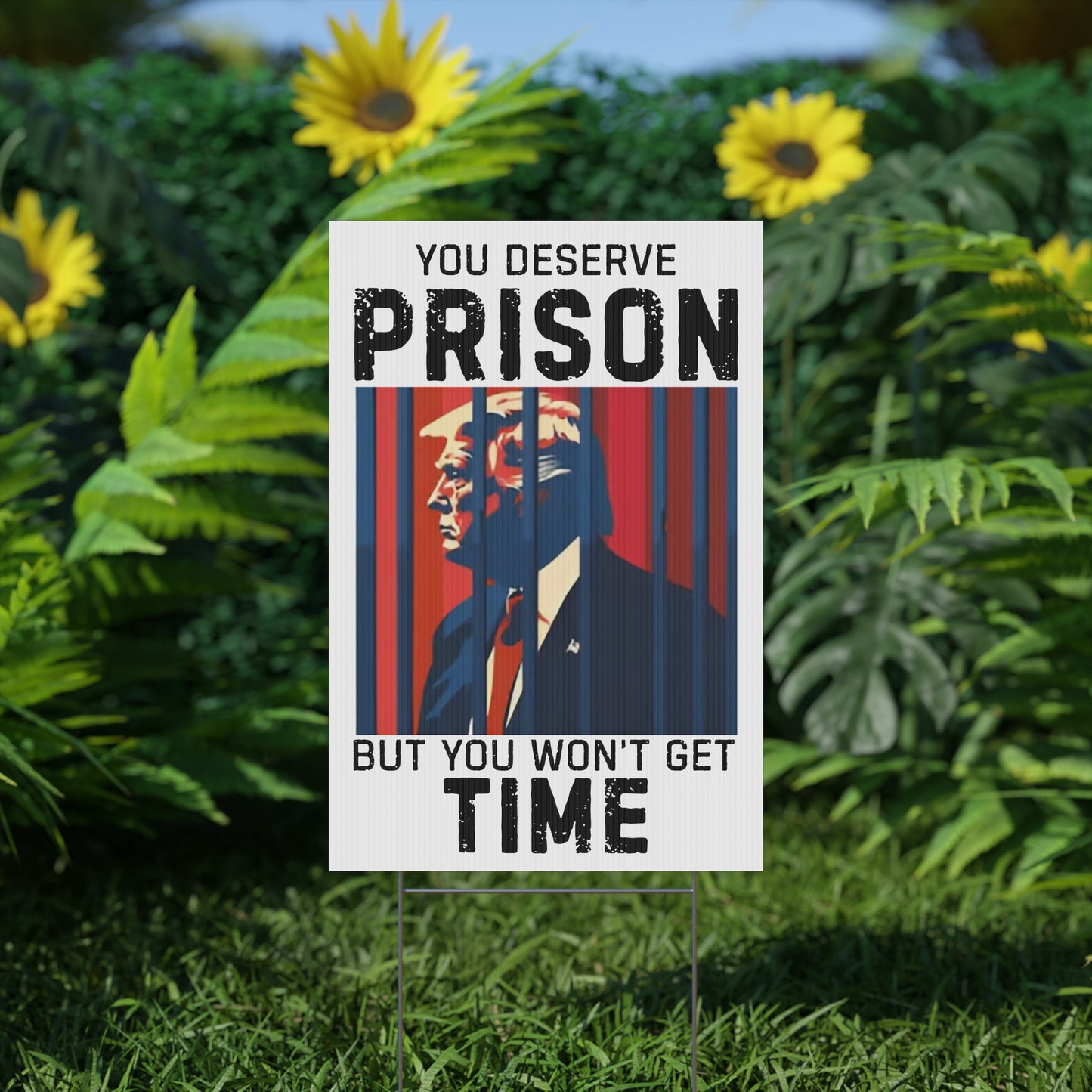 Political Yard Sign - "You Deserve Prison But You Won't Get Time", Home Decor, Garden Decor, Protest Sign, Election Campaign