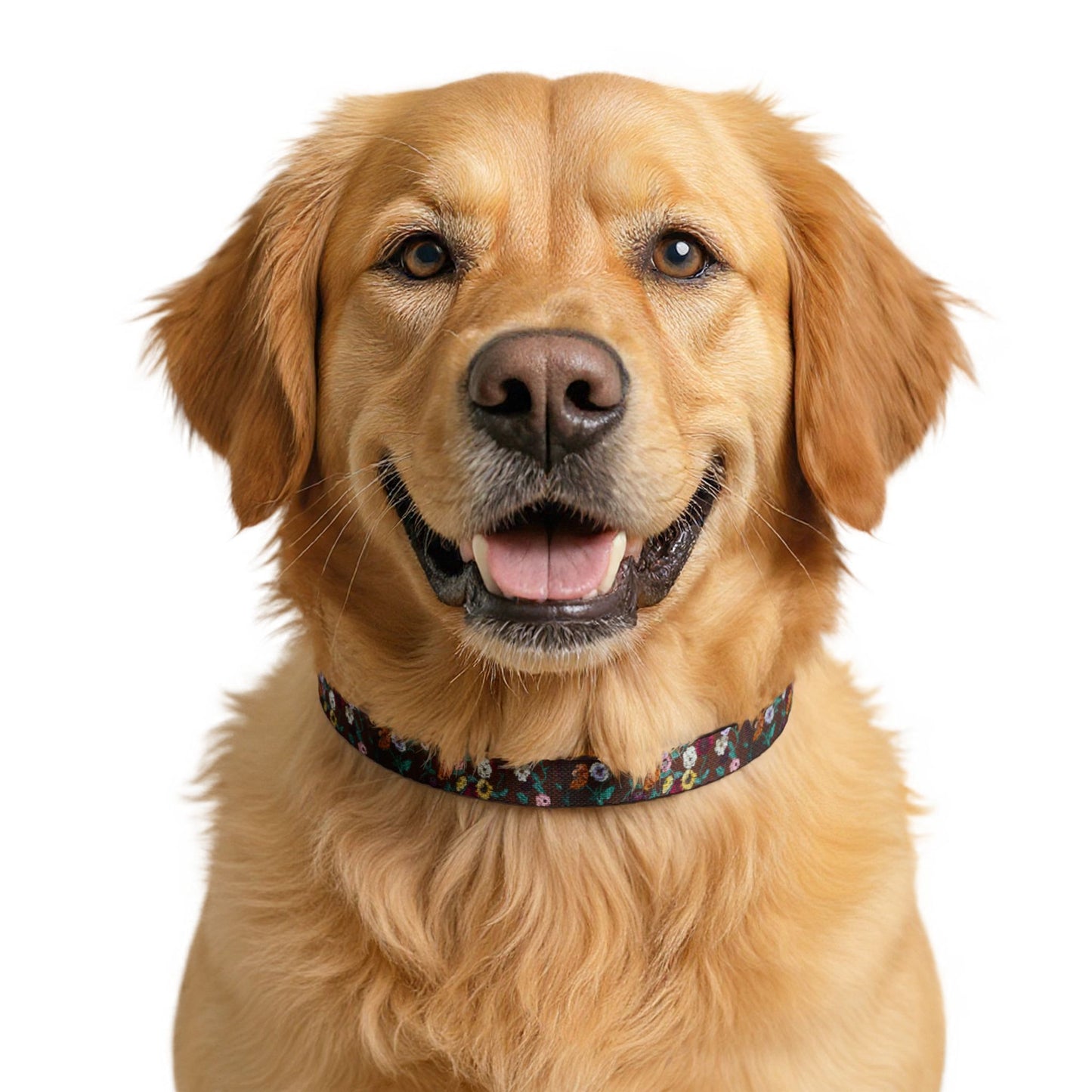 Acoustic Piano Floral Clip-on Pet Collar