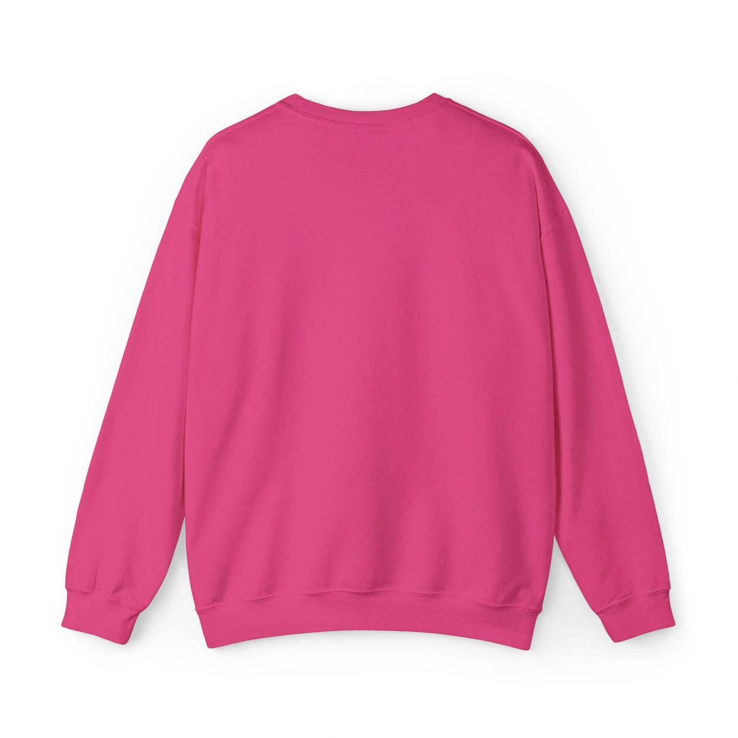 Embroidered Crewneck Sweatshirt — fighting dragons with you