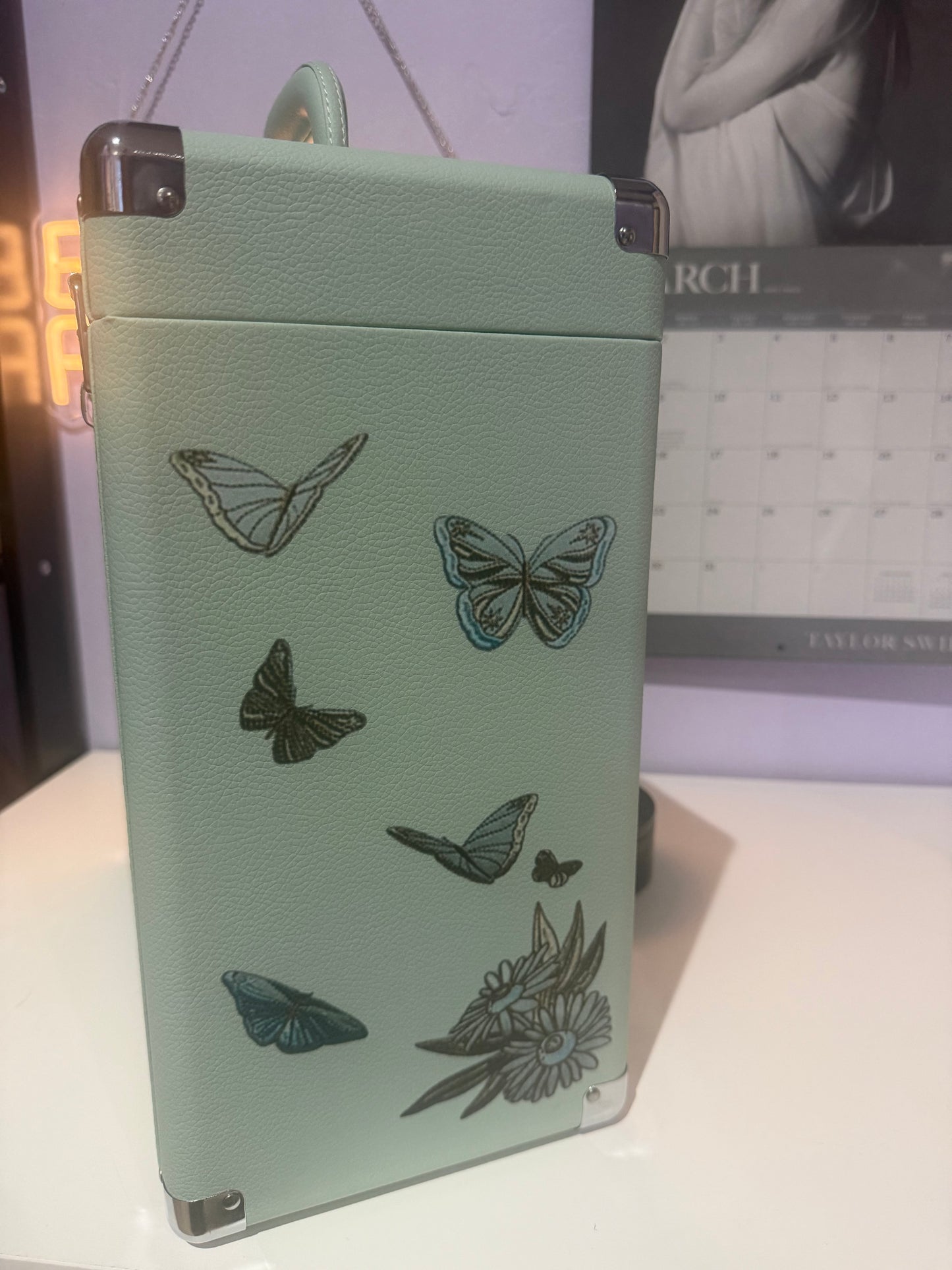 *PREORDER* Debut Vinyl Storage Case (12")