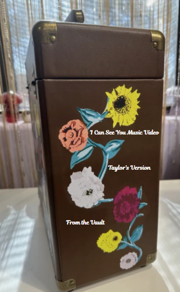 Britney's Custom Vinyl Storage Case
