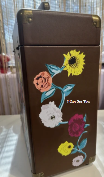 Britney's Custom Vinyl Storage Case