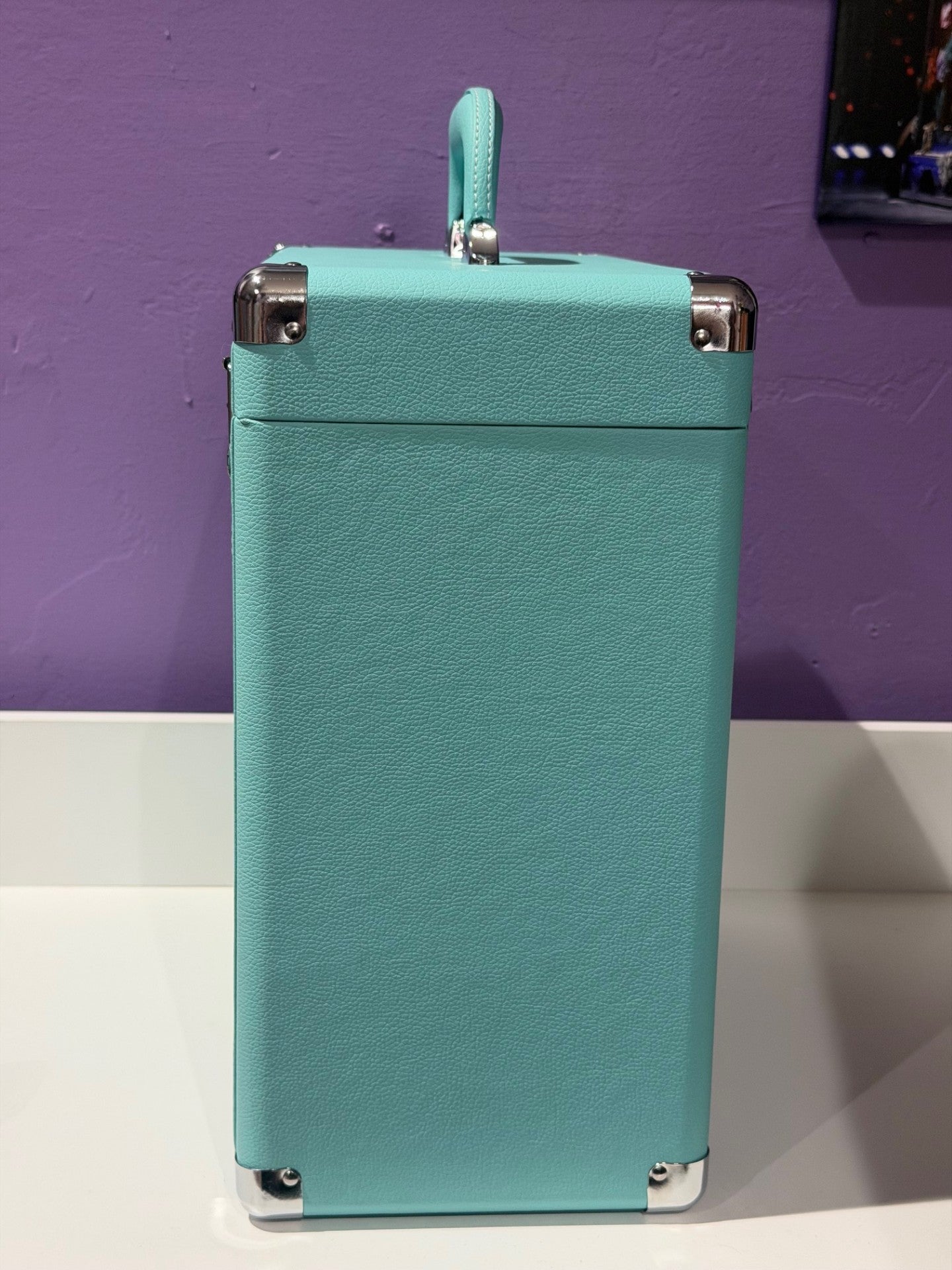 Midnight Mayhem Vinyl Storage Case (12")