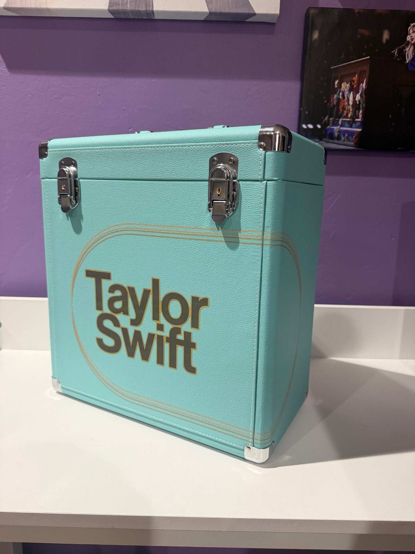 Midnight Mayhem Vinyl Storage Case (12")